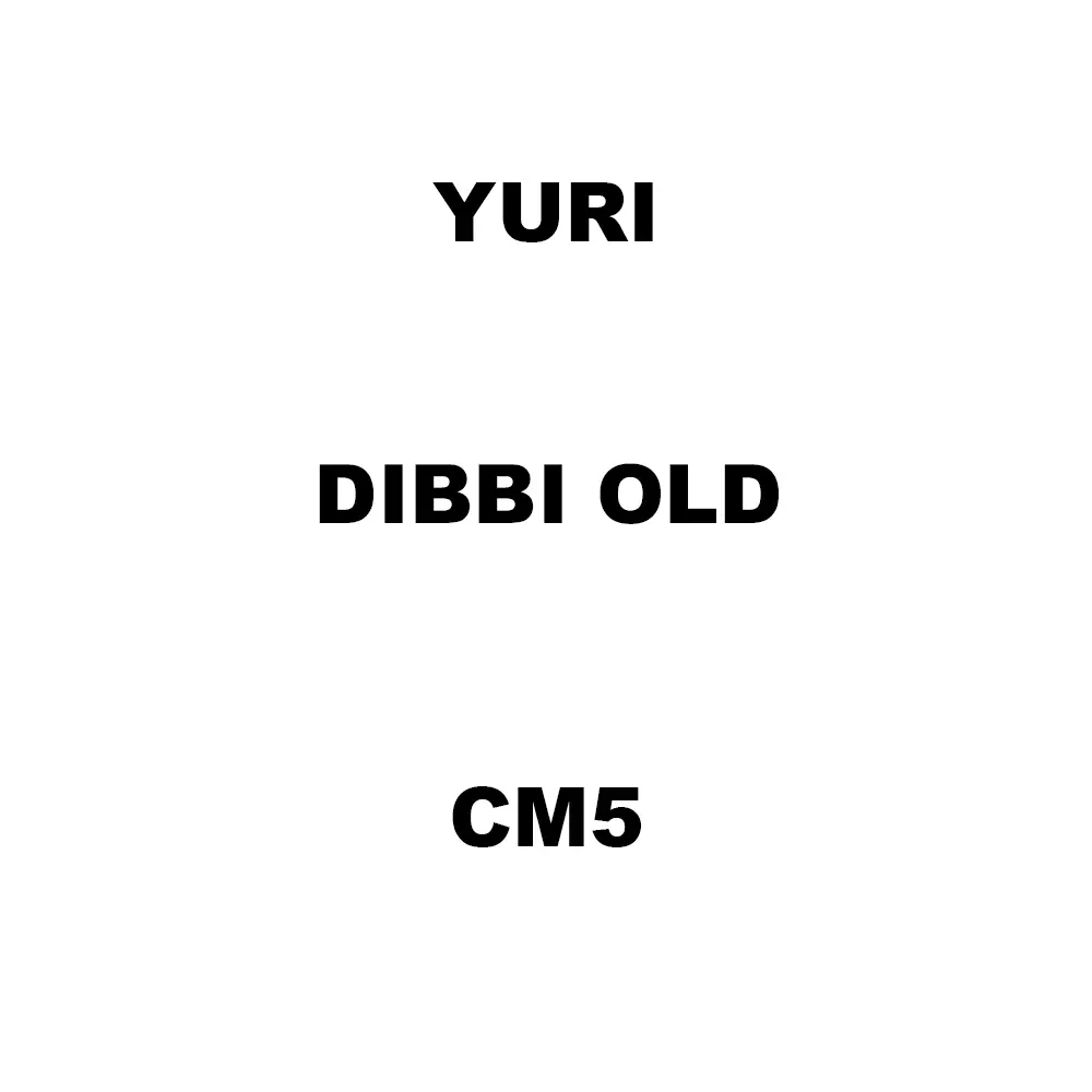 Yuri Dibbi Old Spare for Marble Cutter CM5