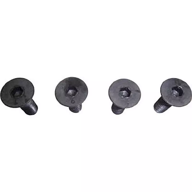 TRUSCO Parts Cap Fixing Screw Set, SRV125N002