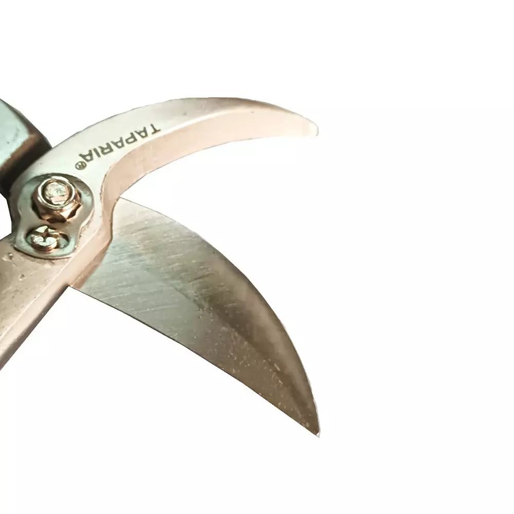 taparia-pruning-shear-cutting-capacity-up-to-25-mm-stem-size