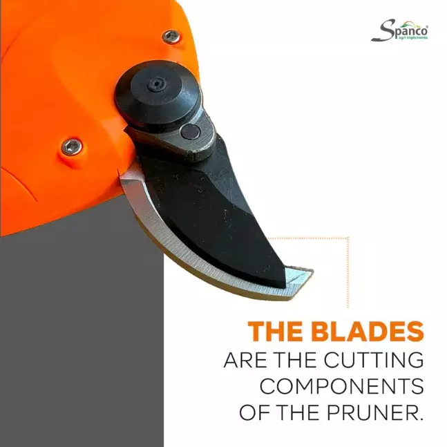 spanco-168-v-cordless-electric-pruning-shear-with-plug-in-single-battery-brushless-motor-and-1-inch-25-mm-cutting-diameter-seps-604-a-without-charger