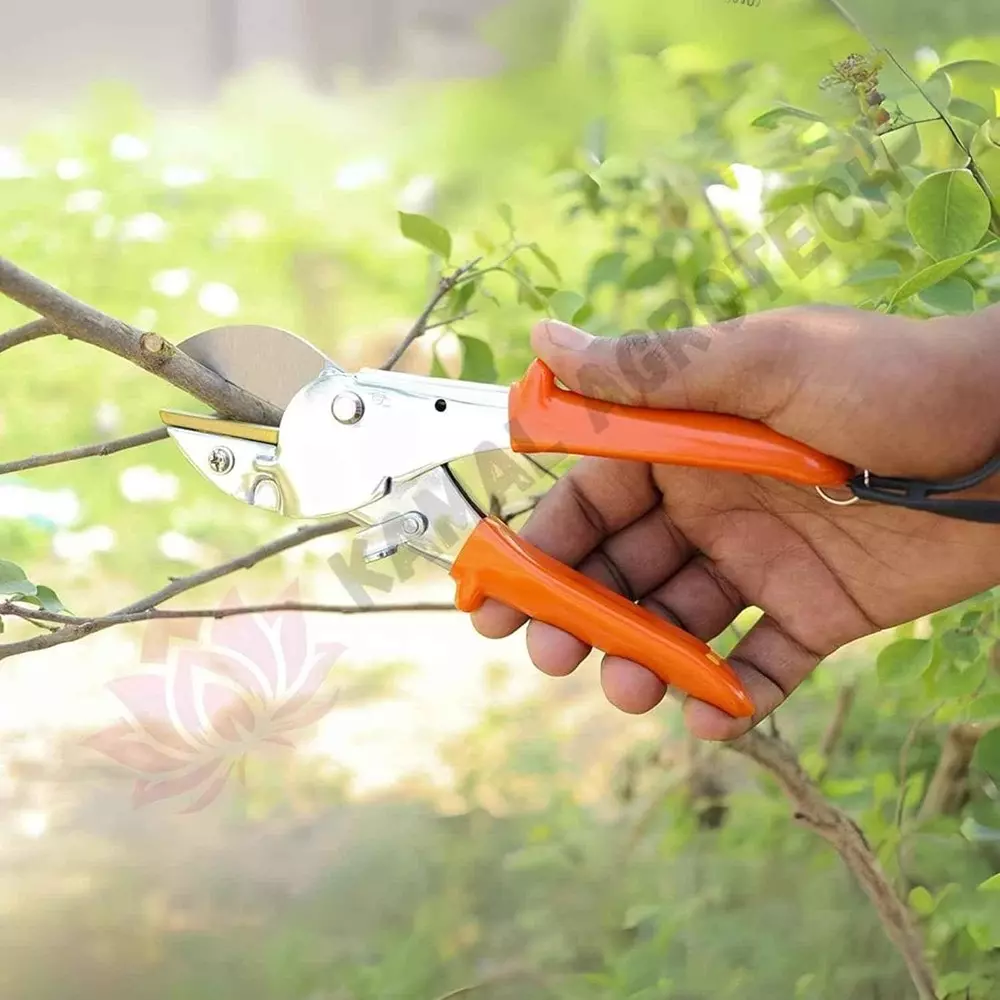 kamal-agrotech-8-cm-stainless-steel-plastic-orange-green-garden-pruning-secateurs-stem-cutter-with-safety-lanyard
