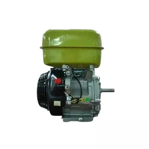 Bonhoeffer 7 HP Petrol Engine 208 cc Displacement, 4 Stroke and 4.2 L Fuel Tank, BON-P-GE-7.0HP
