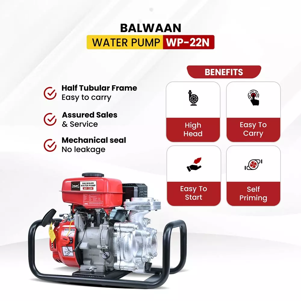 balwaan-water-pump-2x2-inch--premium-monoblock-wp-22n