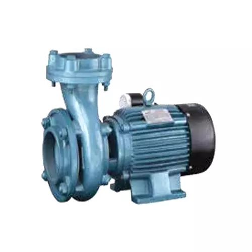 Buy VGuard 2 HP Single Phase Centrifugal Monoblock Pump Online in