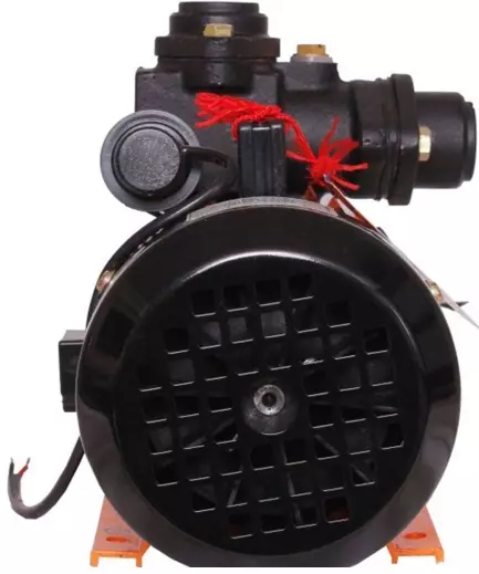 Usha 1HP Star Aqua 100 Domestic Water motor pump - 2557
