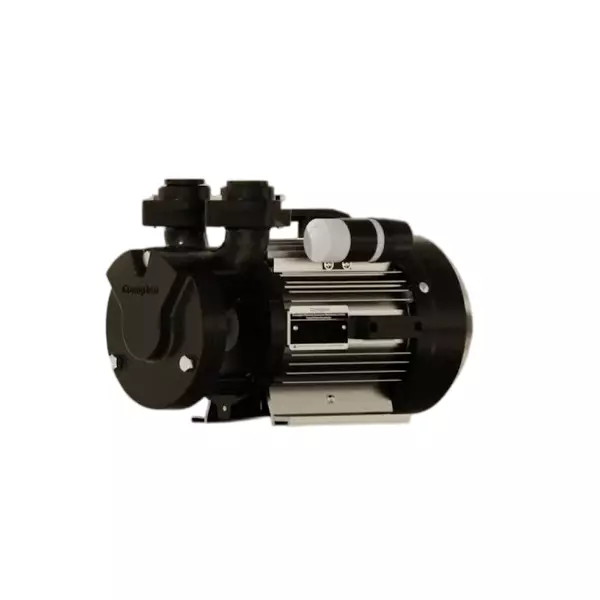 Crompton 1 HP Self Priming Pump Flomax Dura Series Single Phase and 2700-500 LPH Flow Rate, FLOMAX DURA I