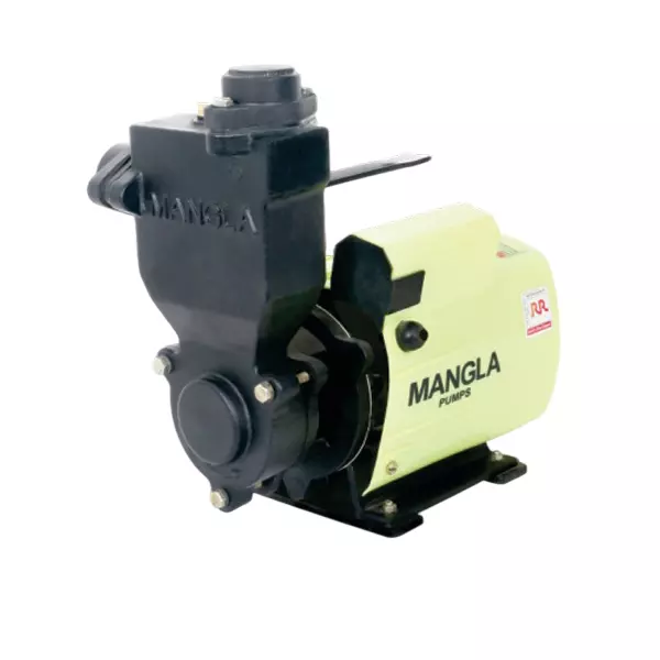 Mangla Marketed by TATA 1 HP Single Phase Self Priming Monoblock Pump, Mini 1+