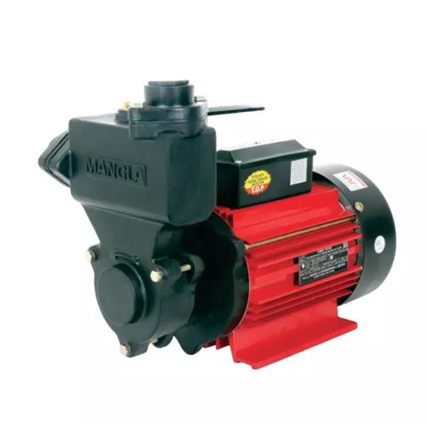Mangla Marketed by TATA 2 HP Single Phase Self Priming Monoblock Pump, Jumbo SP 200