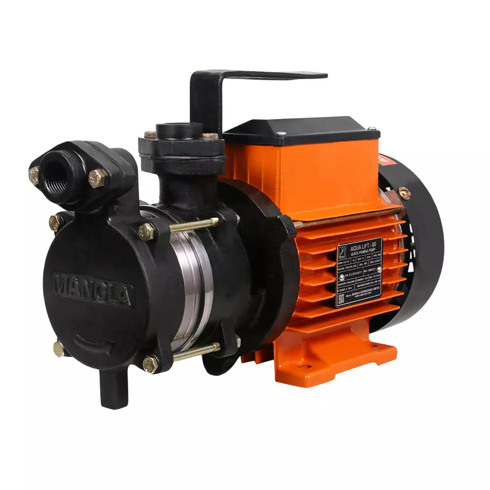 Mangla Marketed by TATA 1 HP Single Phase Self Priming Monoblock Pump, 10D MS