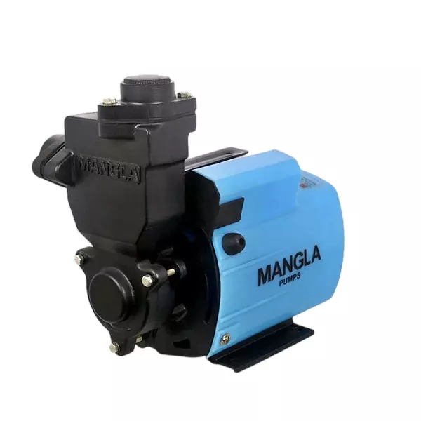 Mangla Marketed by TATA 1 HP Single Phase Self Priming Monoblock Pump, Mini 2+ BFC