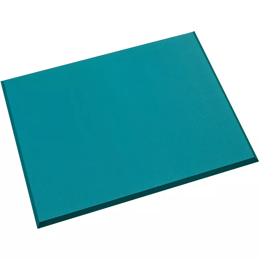 TERAMOTO Antistatic Cushion Mat 750x900 mm Dimension, MR-939-675-0