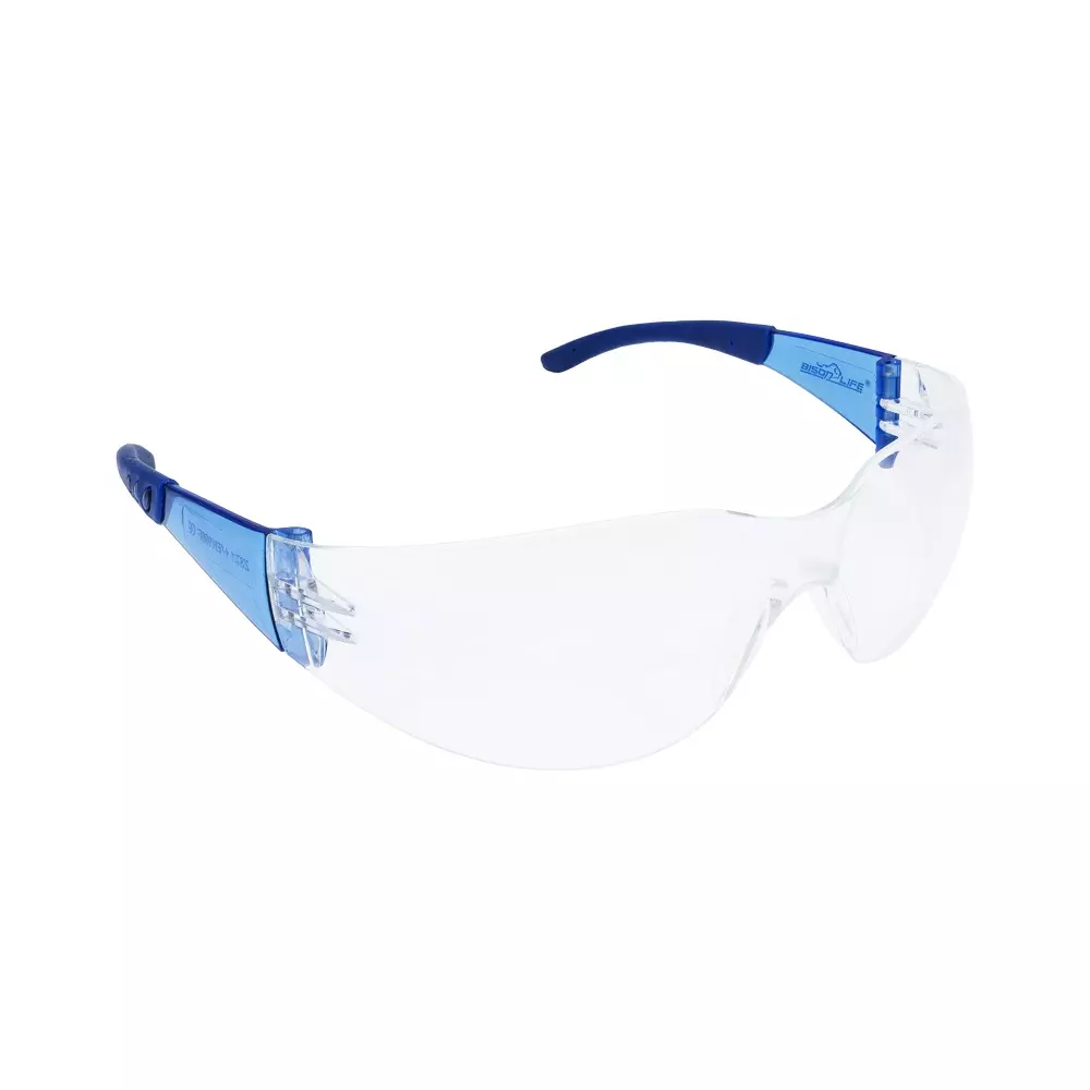 GENERIC VisonSafe Safety Goggles Clear Polycarbonate, HylineX