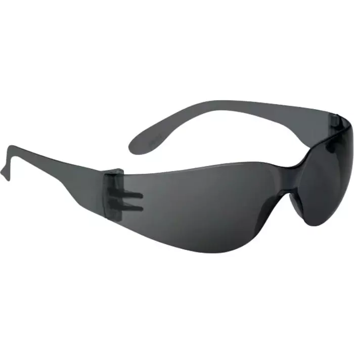 Delta Plus Safety Glasses Black Polycarbonate Lens, BRAVA2 SMOKE (Pack of 10)