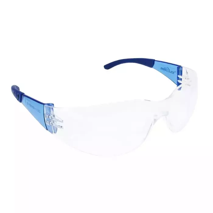 BISON LIFE HylineX Safety Goggle Anti-Scratch, Anti-Fog Polycarbonate Clear Lens with UV Protection (Pack of 5 Pcs)