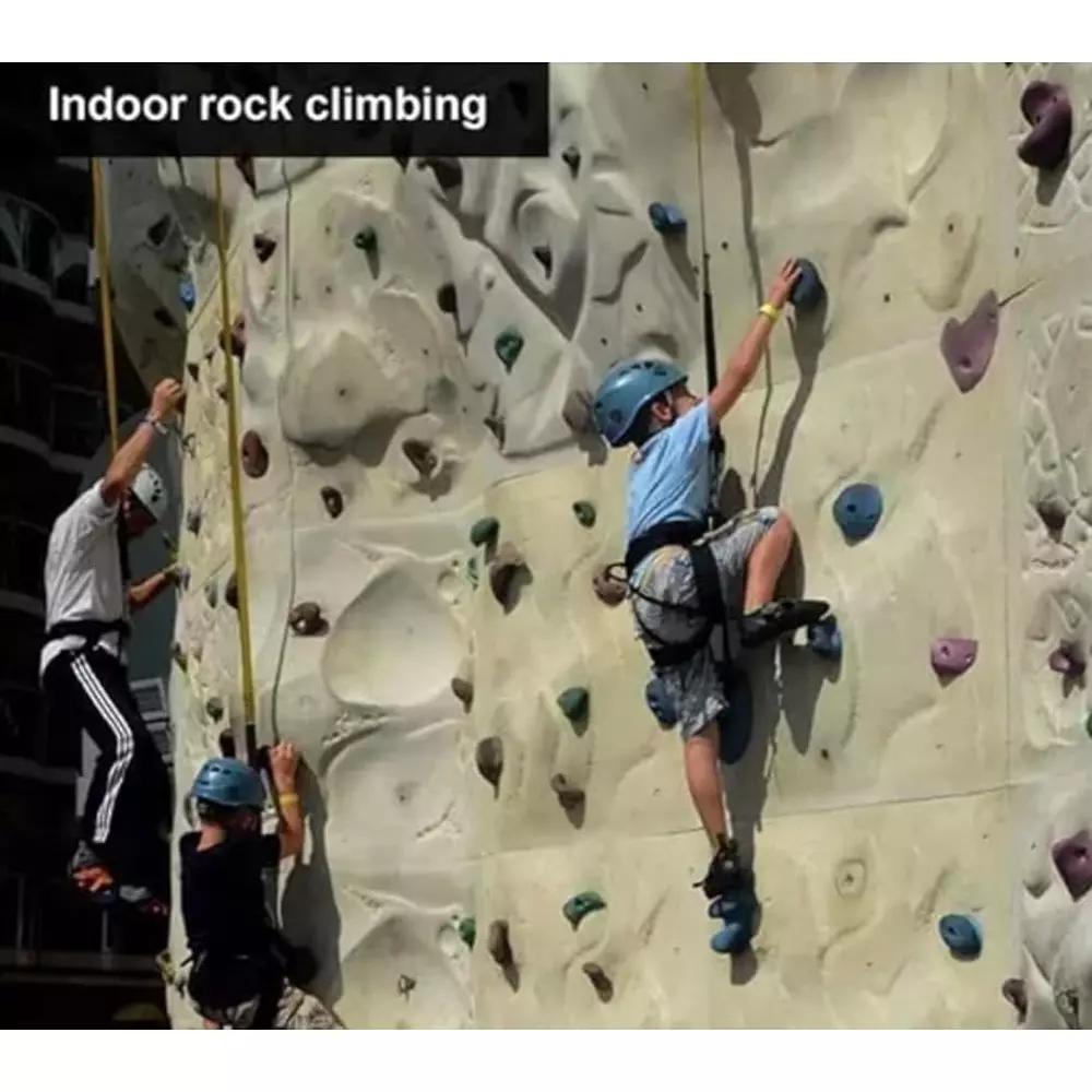 CHANDOKS Full Body Extra Power Unisex Safety Harness Belt Polyester Black & Light Green for Fall Protection, (Full Body-5) (1)