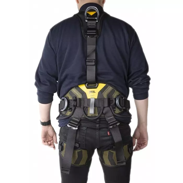 PETZL Front Rear Centre Waist Side Attachment Safety Harness 100 Kg Max, C071BA00