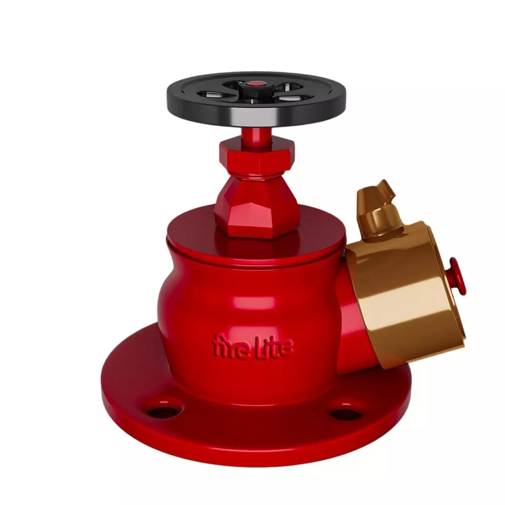 FIRE LITE Single Hydrant Valve 63 mm Gunmetal Red & Golded, FH02