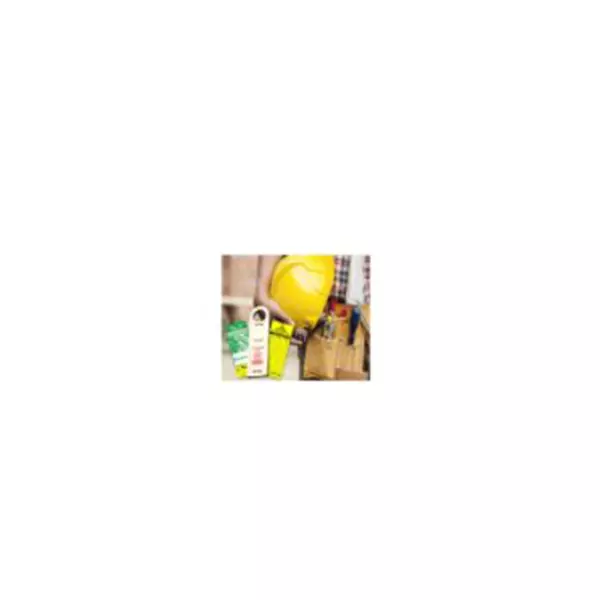 Asian Loto ALC-LSTH-G Safety Tagout System