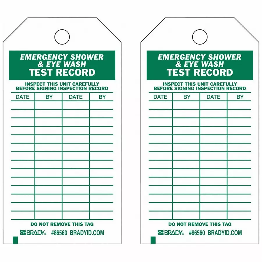 BRADY Inspection Received Tag 5 3/4 inch Green & White, 5KT90 (Pack of 10)