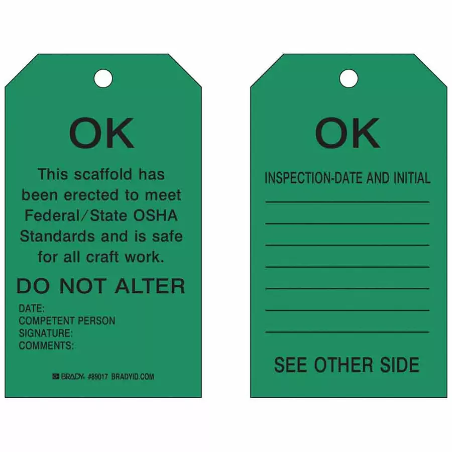 BRADY Inspection Received Tag 17.78 cm (7 Inch) Black & Green, 5EPA2 (Pack of 10)