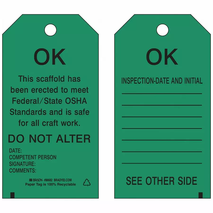 BRADY Inspection Received Tag 5 3/4 inch Black & Green, 5ENZ3 (Pack of 10)