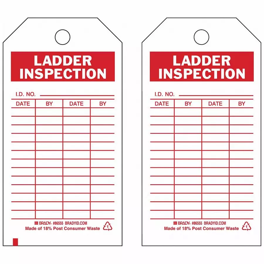 BRADY Inspection Received Tag 5 3/4 inch Red & White, 8ZCJ7