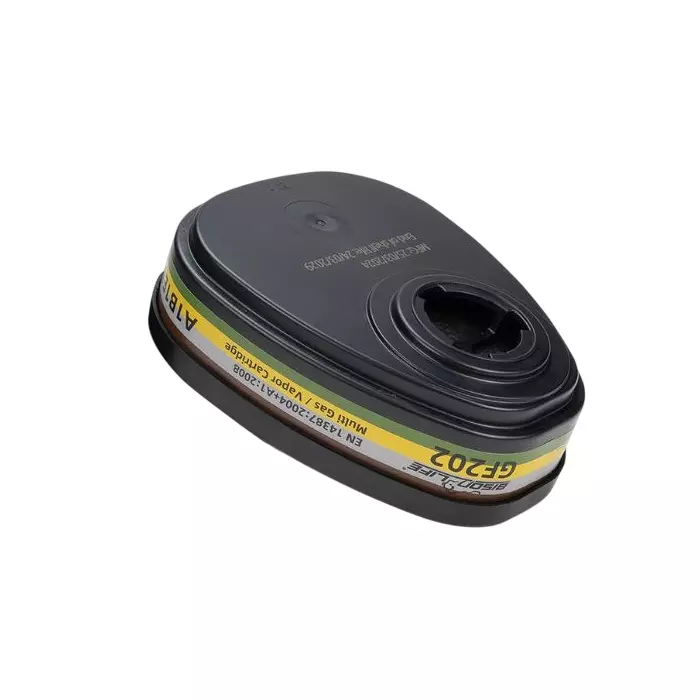 BISON LIFE ProAer Dual Cartridge Multi Gas/Vapor Filter Black, GF202