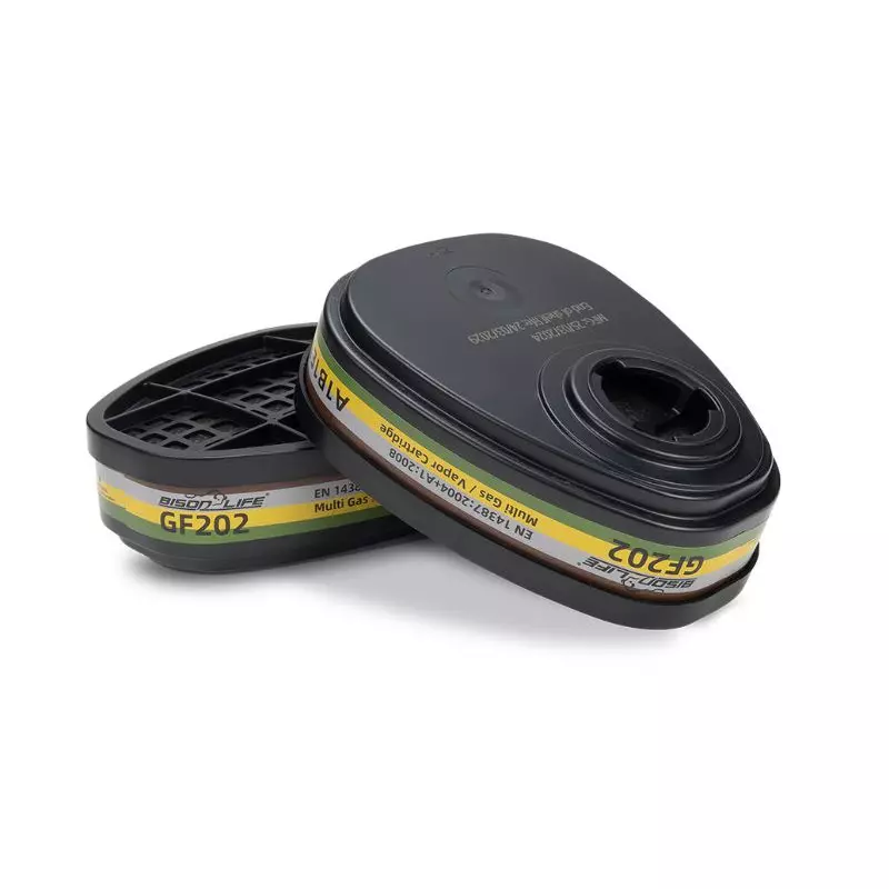 BISON LIFE ProAer Dual Cartridge Multi Gas/Vapor Filter Black, GF202