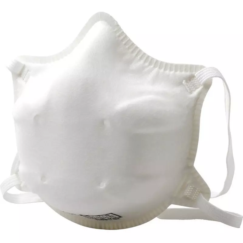MIDORI Side Hook Type Disposable Dust Mask, SH8022-SH (Pack of 10 Pcs)