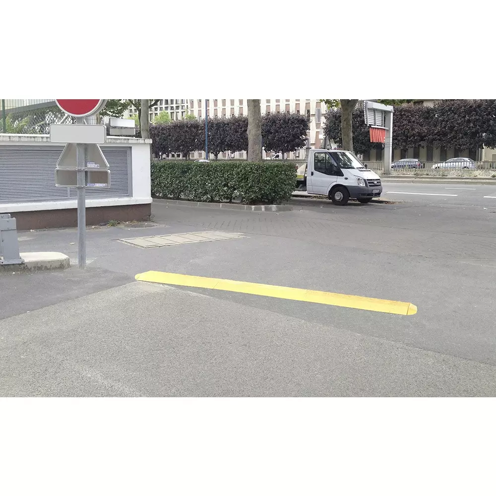 rs-pro-speed-bump-2845263