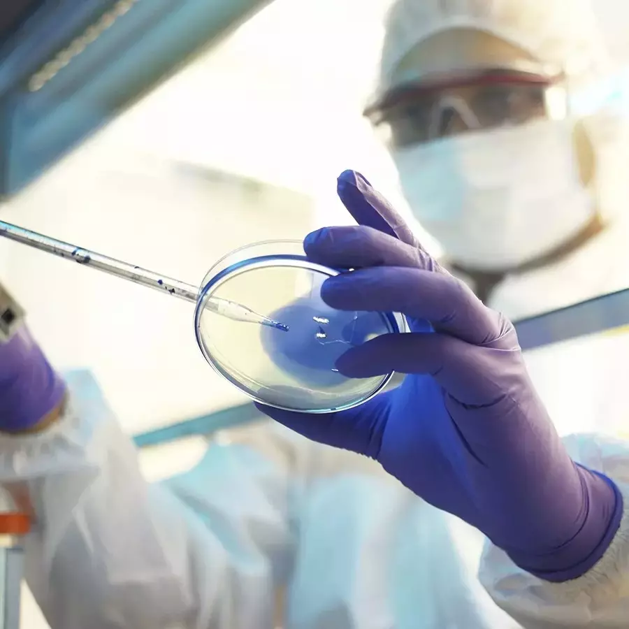 Kimberly-Clark Kimtech 9.5in (M) Food Grade Purple Nitrile Exam Gloves,KC-55082(Pack of 100 Pcs)