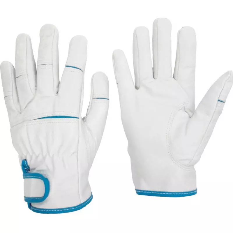 MIDORI Leather Gloves Blue (cuff Edge) M Size 19.0 cm Palm Circumference, 40% cotton, MT-550-M