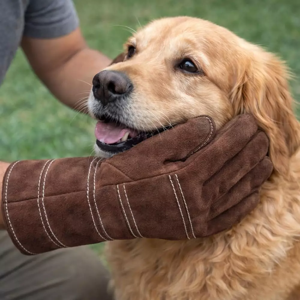 swavind-leather-animal-handling-gloves-reusable-brown-free
