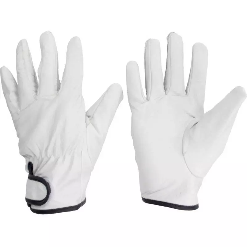 MIDORI Leather Gloves M Size 20.0 cm Palm Circumference, MRK-221-M