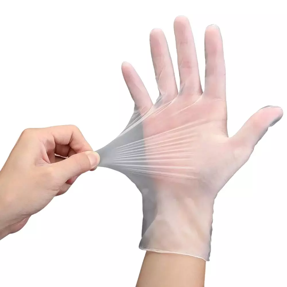 GLOBALSS Plain ESD Gloves Vinyl PVC Transparent Full Fingered (Pack of 10)