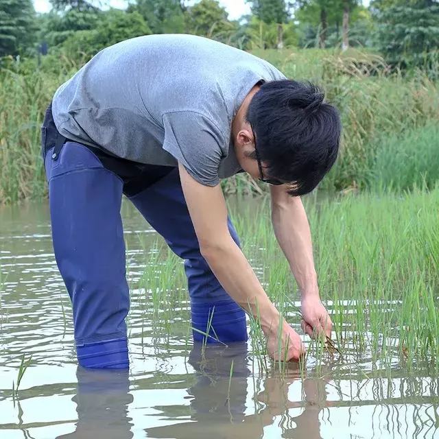 iMTSP Long Paddy Shoes Blue UK 11