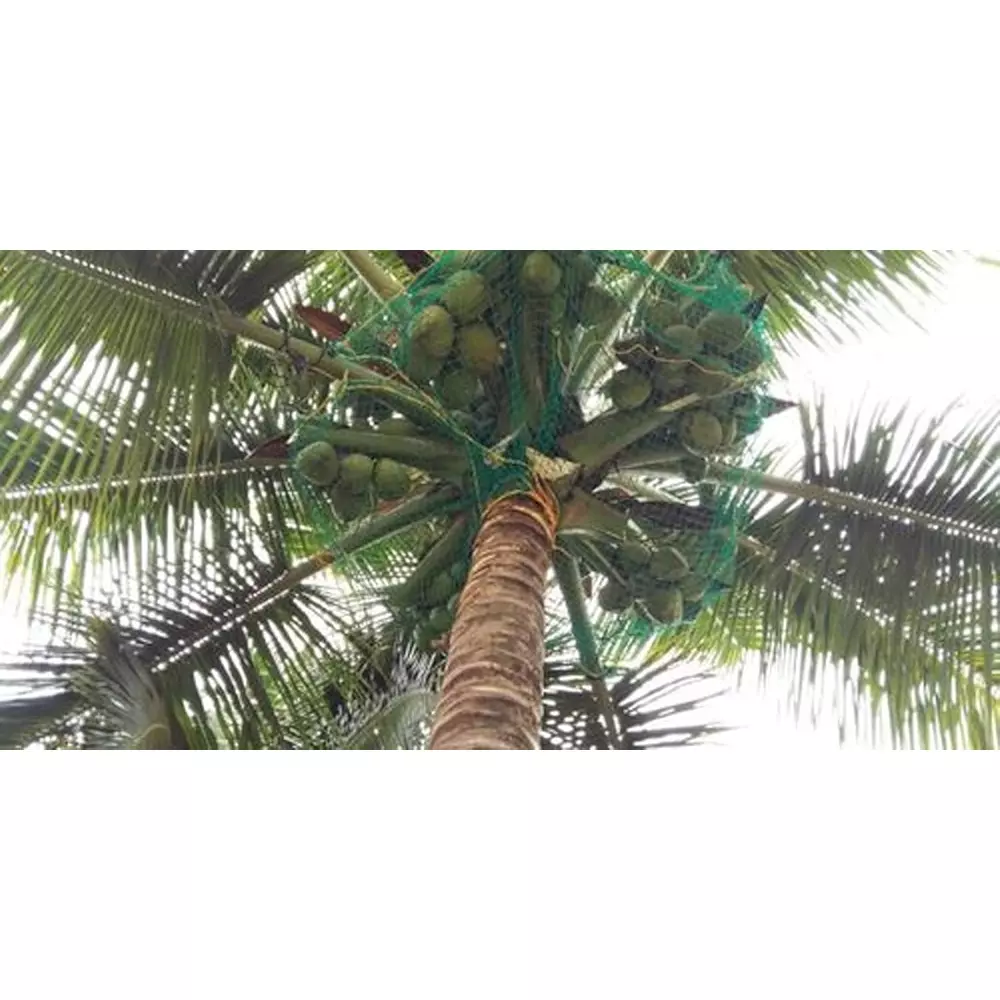 wne-jaliwale-heavy-duty-coconut-fall-protection-net-hdpe-6-mm-border-rope-10x10-ft-size-green