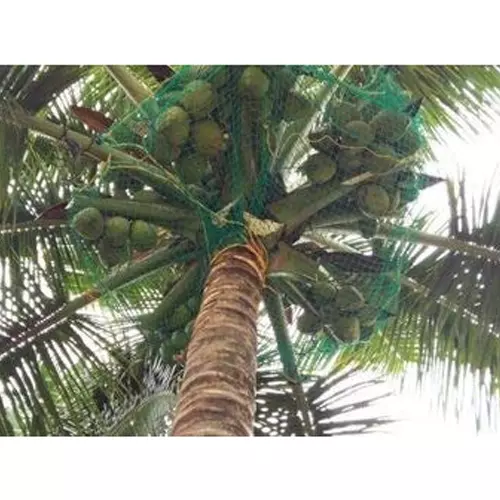 wne-jaliwale-heavy-duty-coconut-fall-protection-net-hdpe-6-mm-border-rope-11x11-ft-size-green