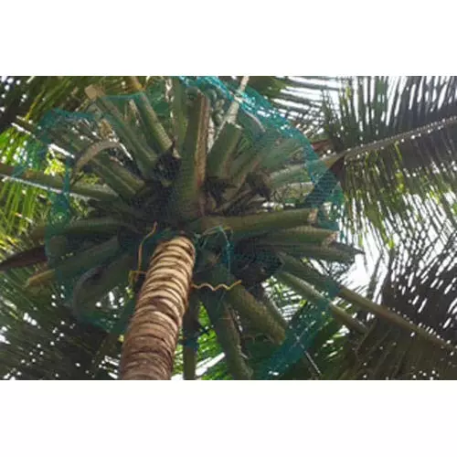 wne-jaliwale-heavy-duty-coconut-fall-protection-net-hdpe-6-mm-border-rope-11x11-ft-size-green