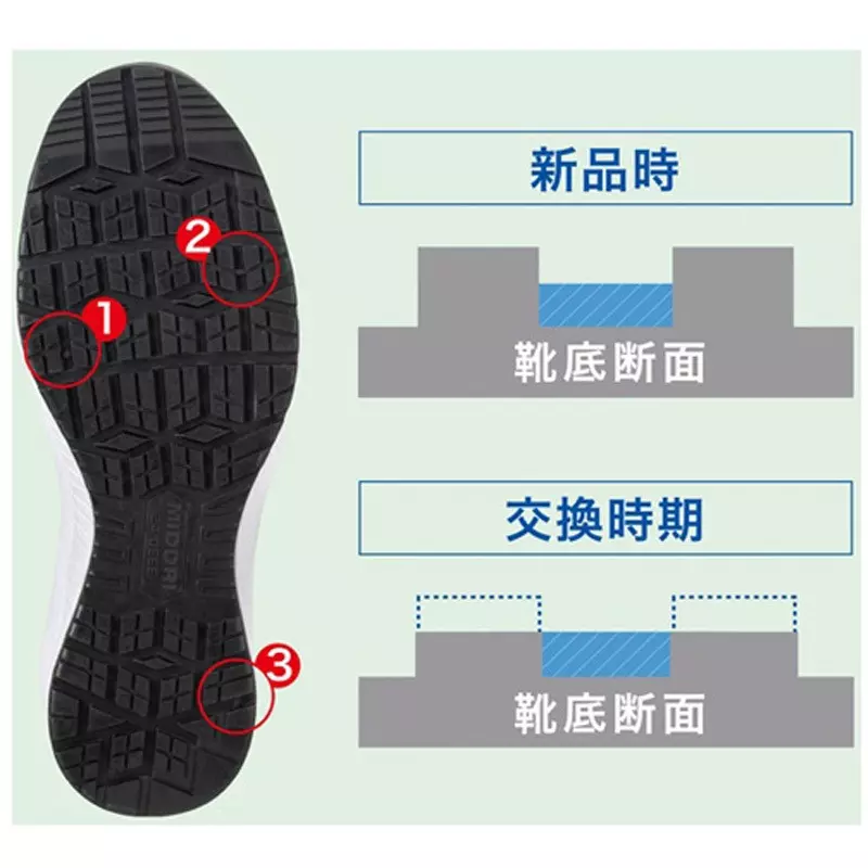 midori-sneaker-2573475