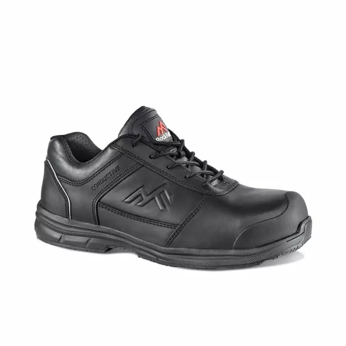 Rockfall Zinc Unisex Black Non Metallic Safety Shoes UK 9 EU 43, RF002/009