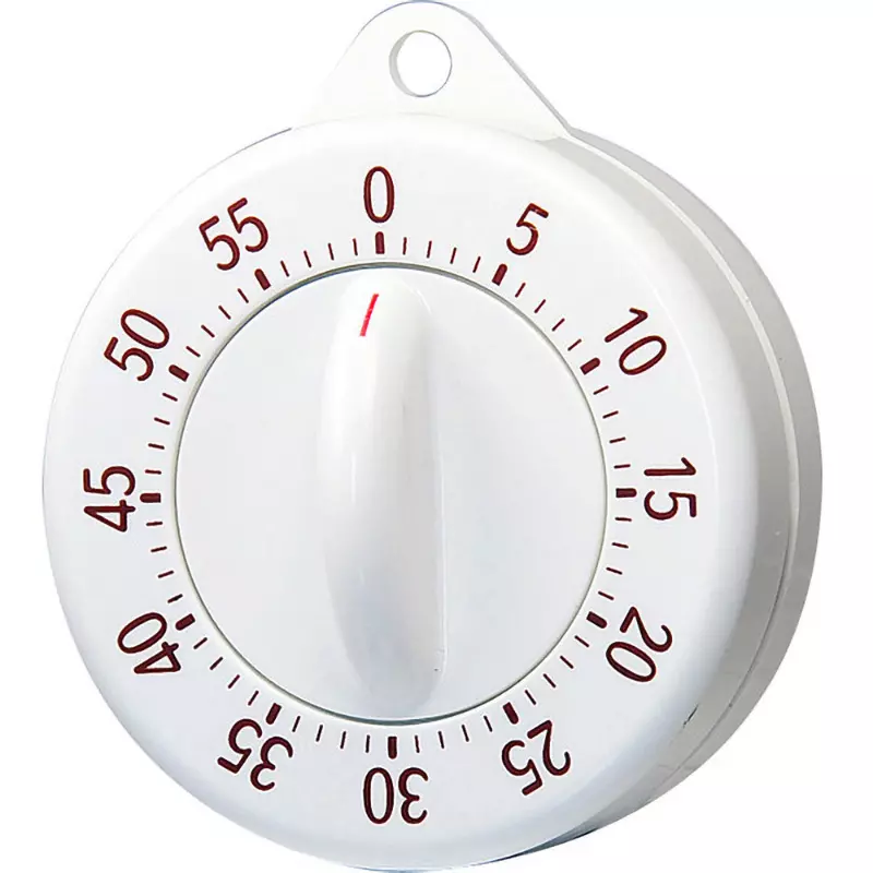 CRECER Hand-Turn Timer analog Display Format, CT-600W