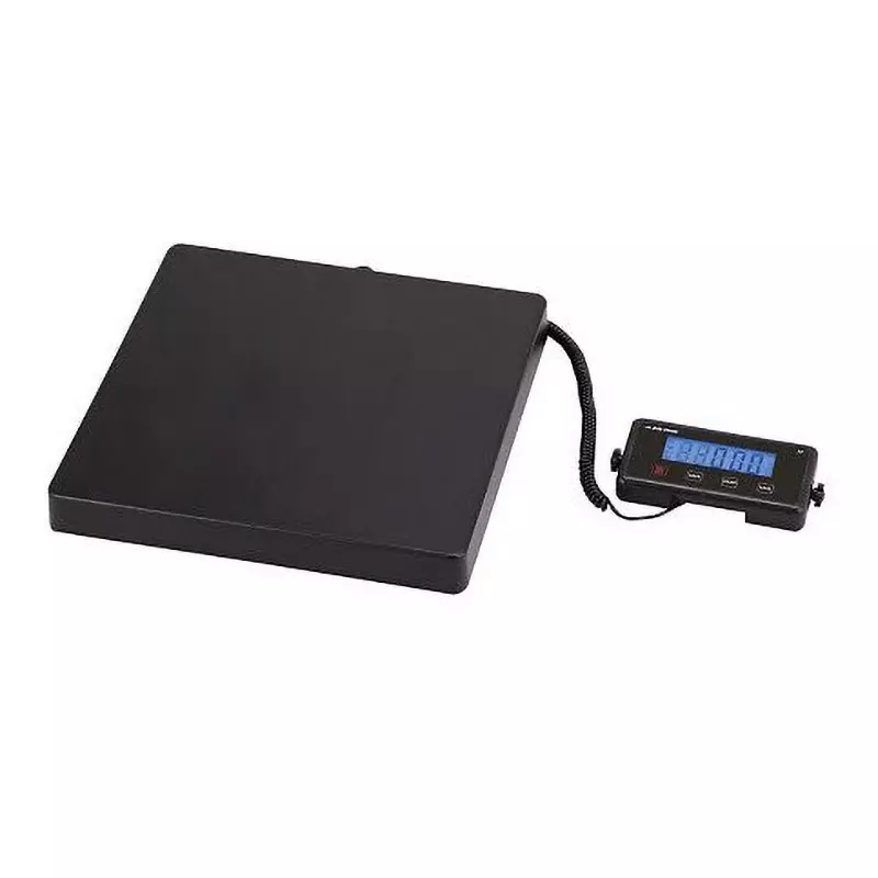 AS ONE Economy Platform Scale 400x400 mm, EP75K10