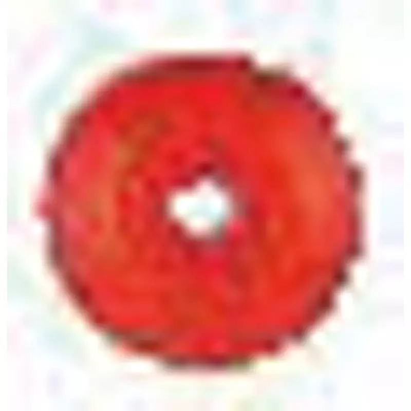 Myzox Point Base, No. 2 / red (Pack of 100)