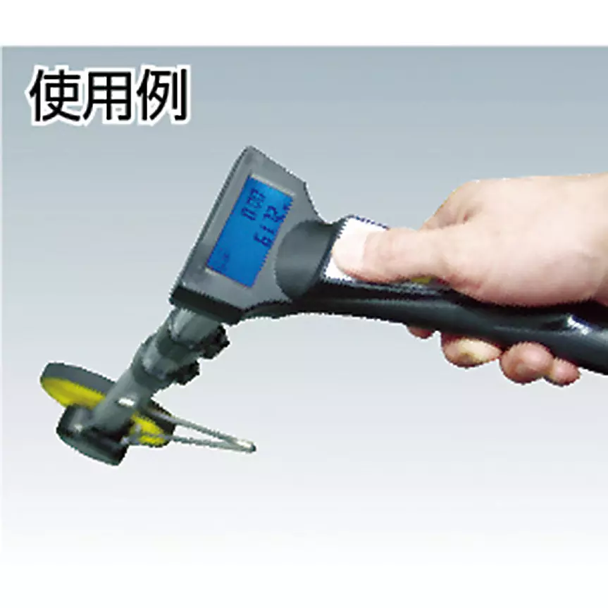 sts-digital-walking-measure-39424533