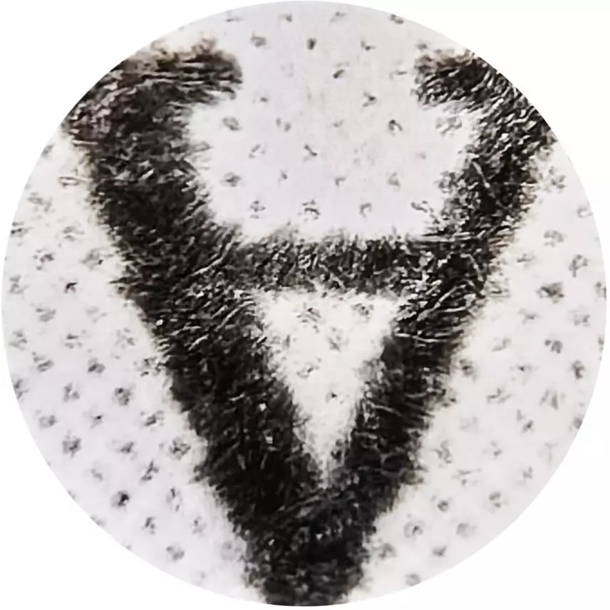 sk-niigata-seiki-pocket-magnifier-npl-50