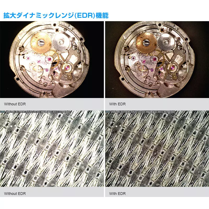 anmo-dino-lite-edge-amr-55123120