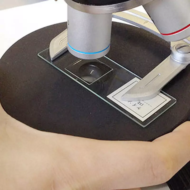 narika-biological-microscope-70046588