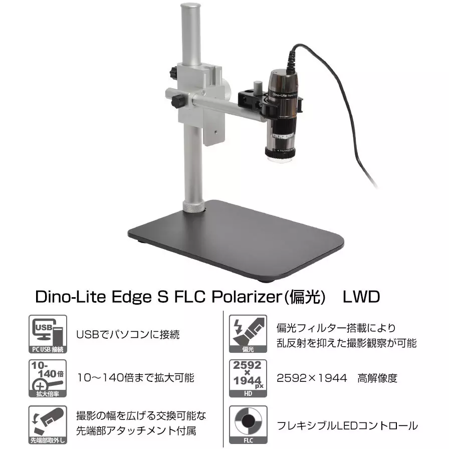 thanko-dino-lite-edge-amr-12624074