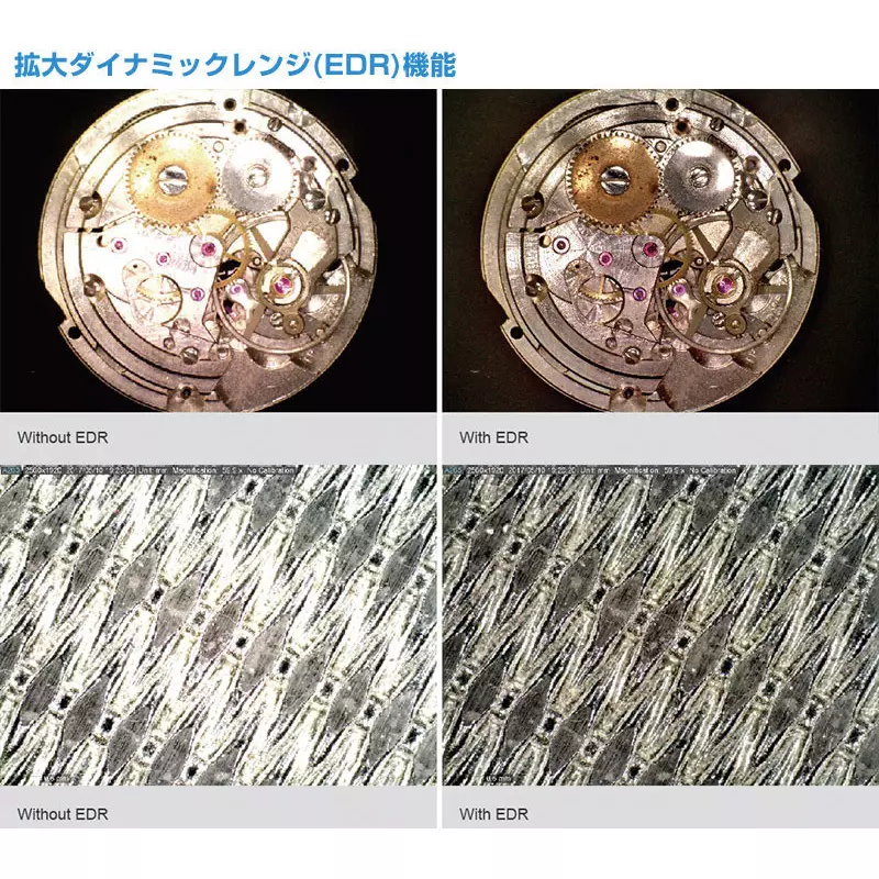 thanko-dino-lite-edge-amr-54926805